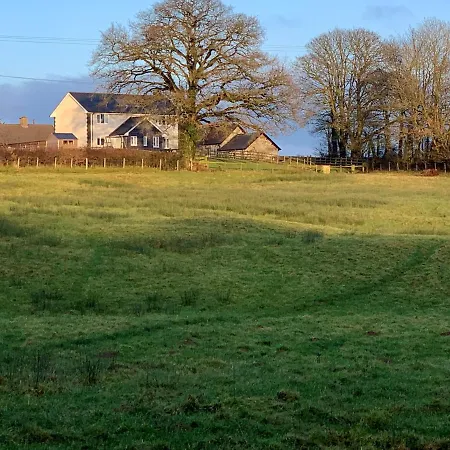 Maen Llwyd Villa Llanyre Exterior photo