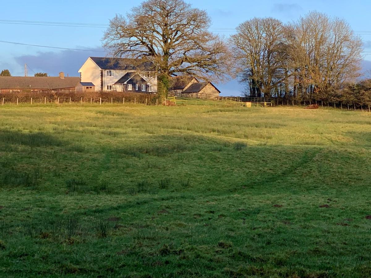 Holiday home Maen Llwyd *